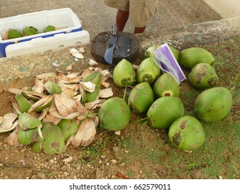 coconuts