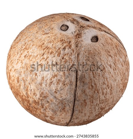 coconuts isolated on the white background.