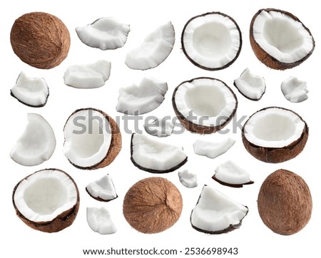Coconuts isolated on white, collage. Whole and pieces