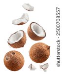 Coconuts isolated set. Collection of coconut, halves and slices on a white background.