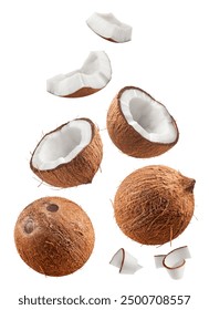 Coconuts isolated set. Collection of coconut, halves and slices on a white background.