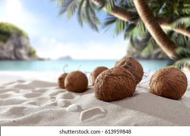 coconuts and landscape of beach 