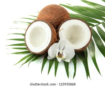 Лилия кокоса фото и описание