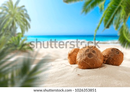 coconuts on the beach with a place for milk or cream 