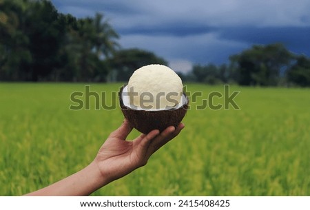Coconuts, the round objects that grow inside coconuts are the flesh of young coconuts or often called endosperm