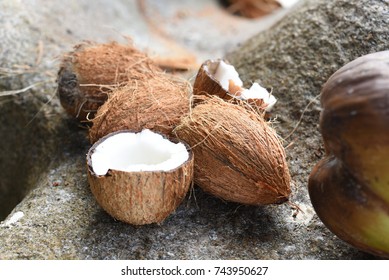 Coconuts, Seychelles