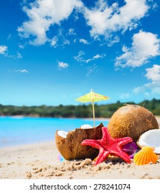 coconuts and starfish by the shore on a tropical beach