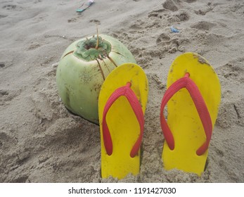 coconut,sand and slipper