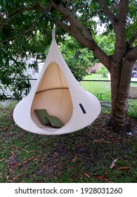 A Cocoon Hammock With Green Pillows Hangs From A Mango Tree In Florida