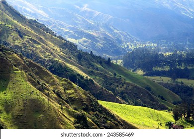 Cocora Valley National Park