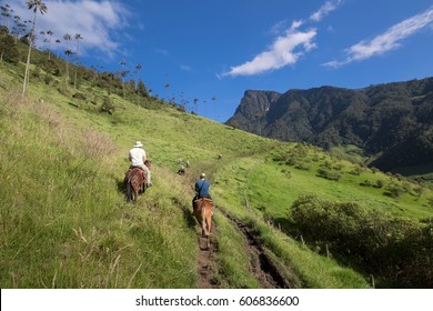 Cocora Valley, Salento, Colombia