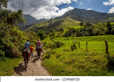 Cocora valley trail in colombia