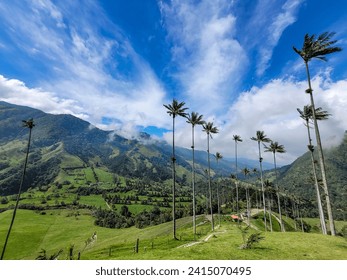 Valle de Cocora (Valle de Cocora) en Quindio, Colombia