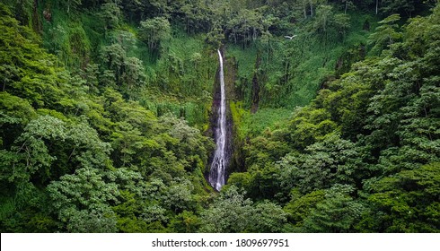 Cocos Island Hd Stock Images Shutterstock