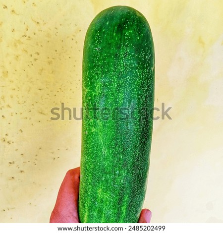 cocumber is a vegetable that can lower blood pressure