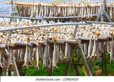 Cod Stockfish.Industrial Fishing In Norway