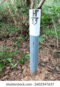 Codification of Production Forest boundary marker with HP number 19.