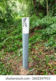 Codification of Production Forest boundary marker with cellphone number 23.