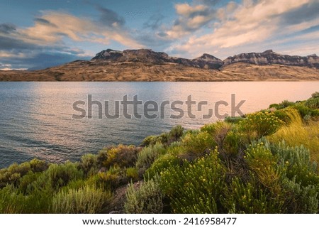 Cody, Wyoming, USA - View across the Shoshone river and reservoir flanked by the foothills of the Rockies on the horizon abd wild plants and flowers in the foreground at dawn in Cody, Wyoming, USA.