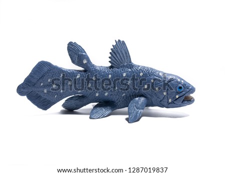 coelacanth small figure