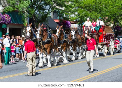 Coeur d' Alene, Idaho - June 12 : Budweiser Clydesdales parade down Sherman avenue attracting large crowds of people, June 12 2015 in Coeur d' Alene, Idaho