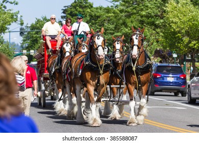 Coeur d' Alene, Idaho - June 12 : Budweiser Clydesdales parade down Sherman avenue, June 12 2015 in Coeur d' Alene, Idaho