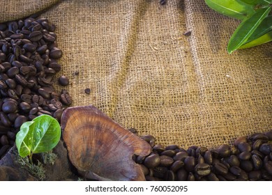 Coffe beans on sack background