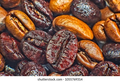 Coffea Arabica Roasted Beans Macro