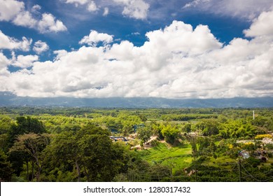 Coffee Axis, Quindio, Armenia, Colombia 