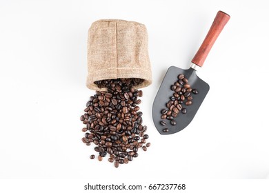 coffee bean 