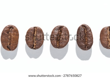 Coffee Bean Aligned In Single Horizontal Row Casting Distinct Shadows On White Studio Background With Crisp Texture And Highkey Lighting For Minimal Tabletop Still Life Composition.