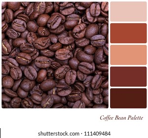 Coffee Bean Background Colour Palette With Complimentary Swatches.