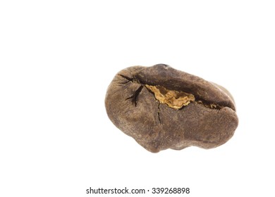 Coffee bean from close range. Isolated on white background.