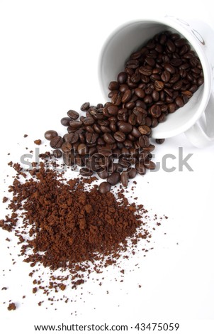 Coffee bean with coffee cup