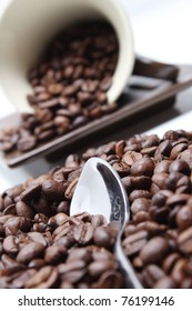 coffee bean and cup (studio isolated)