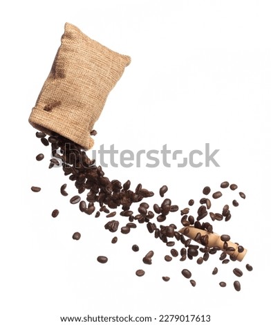 Coffee bean fall down pour in sack bag, Coffee seeds float explode, abstract cloud fly. Coffee beans splash throwing in Air. White background Isolated high speed shutter, freeze motion