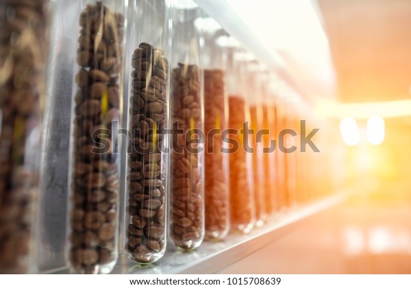 Download Coffee Bean Glass Tubes Sunlight Stock Photo Edit Now 1015708639