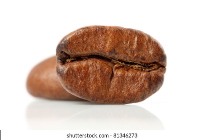Coffee Bean Macro