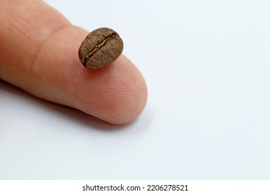 A coffee bean on a finger on a white background