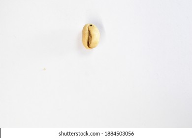 Coffee Bean That Has A Defect That Can Be Clarified As Holed Bean.