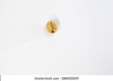 Coffee Bean That Has A Defect That Can Be Clarified As Holed Bean.