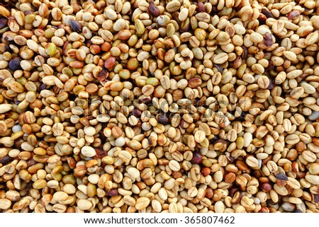 Coffee beans for backgrounds or textures