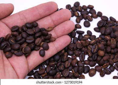 Coffee Beans In Hand, Coffee Bean Background Texture With Copy Space For Text. Royalty High-quality Free Stock Macro Photo Image Of Roasted Black Coffee Beans, Coffee Beans In Hands Background