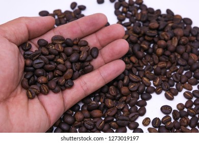 Coffee Beans In Hand, Coffee Bean Background Texture With Copy Space For Text. Royalty High-quality Free Stock Macro Photo Image Of Roasted Black Coffee Beans, Coffee Beans In Hands Background