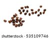 coffee bean isolated