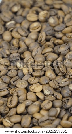 Coffee beans on studio light
