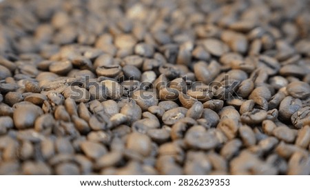 Coffee beans on studio light