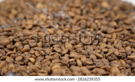 Coffee beans on studio light