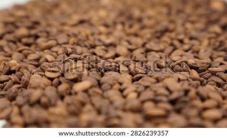 Coffee beans on studio light
