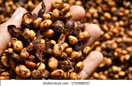 441 Coffee Beans Robusta Wet Process Images, Stock Photos & Vectors ...